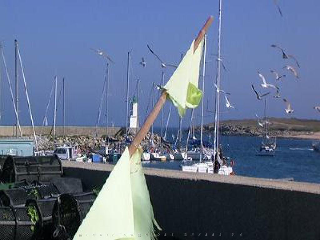 156 ILE DE HOEDIC_000049.jpg